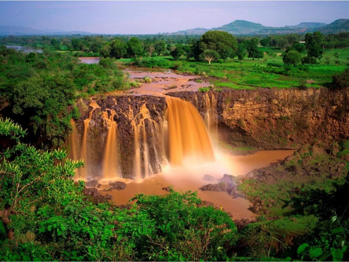 Абиссиния эфиопия. Восточная африка эфиопия. Парк энтото эфиопия. Восточная африка эфиопия. Логан эфиопия.