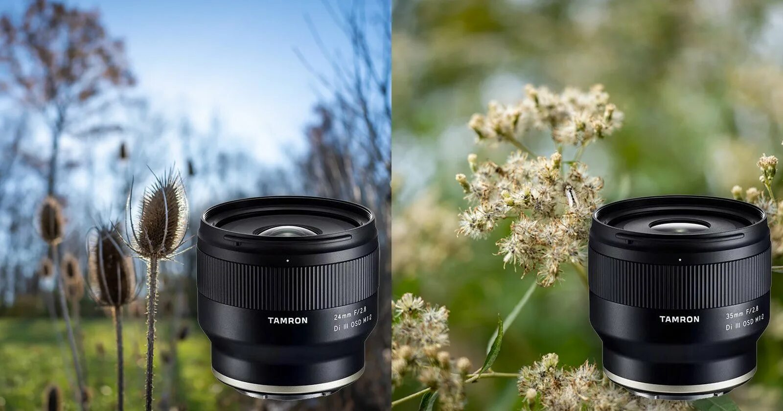 Tamron 24mm Sony. Tamron 35 2.8 Sony e. Samyang af 50mm f/1.4 Sony Fe II. Tamron 20mm f/2.8. 1 2.0 объектив