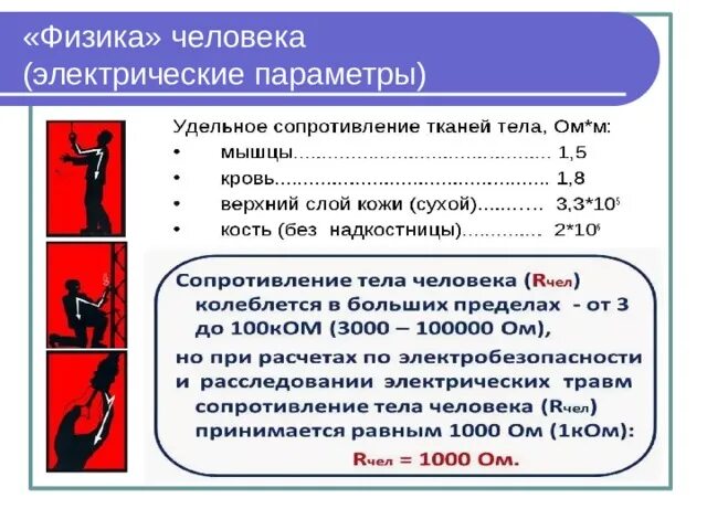Работа в организме человека физика 7. Физика человека. физика человека таблица. физика человека кратко. физика человека проект.