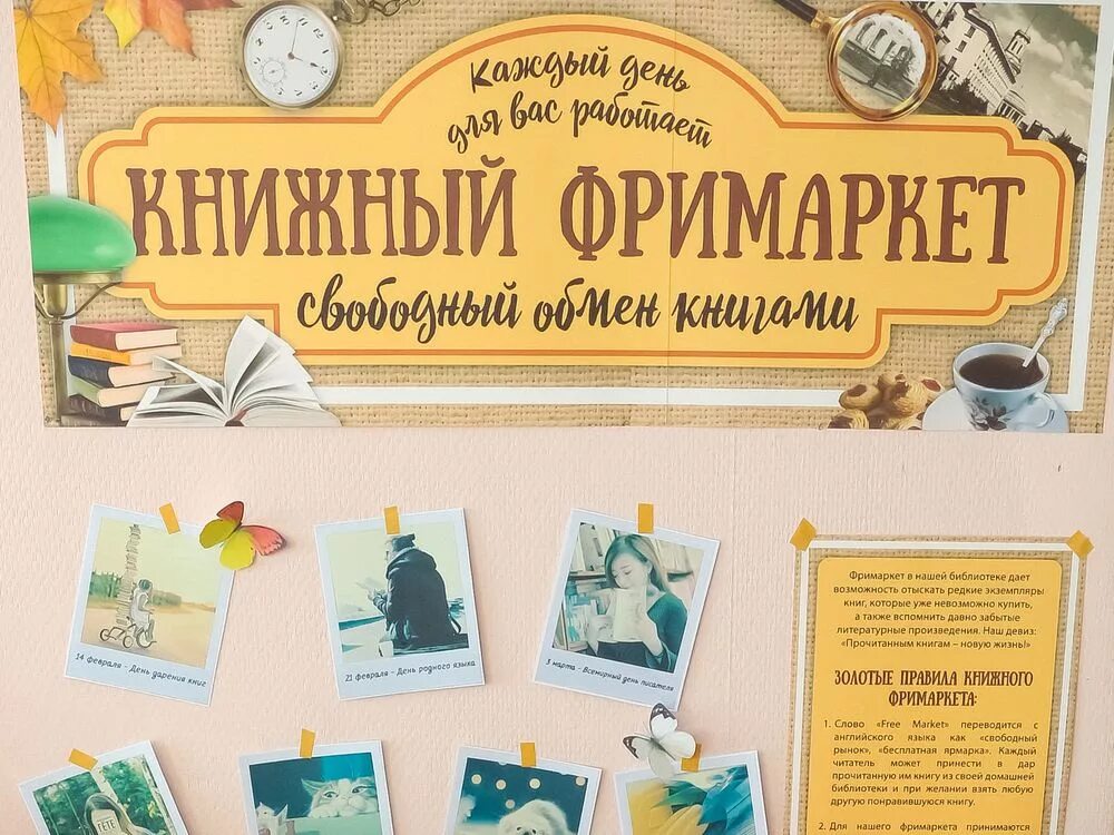 новинки книг. книжная полка в библиотеке. новинки книг. свет в литературе. выставка новых книг.