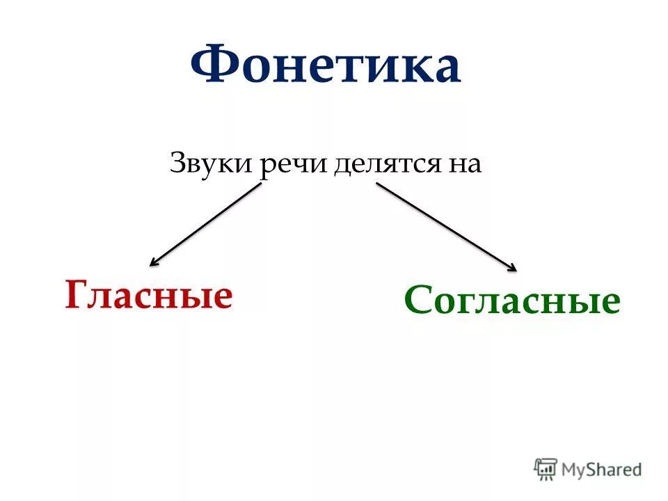 Группы делятся гласные