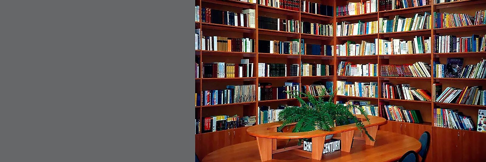 Мебель для школьной библиотеки. Библиотека 48 школа. Педагогическая библиотека на \Толмачевском фото интерьеров.