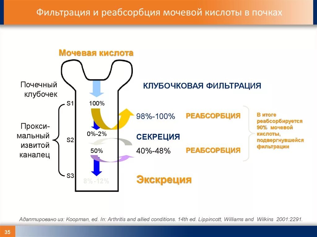 В результате обратного всасывания