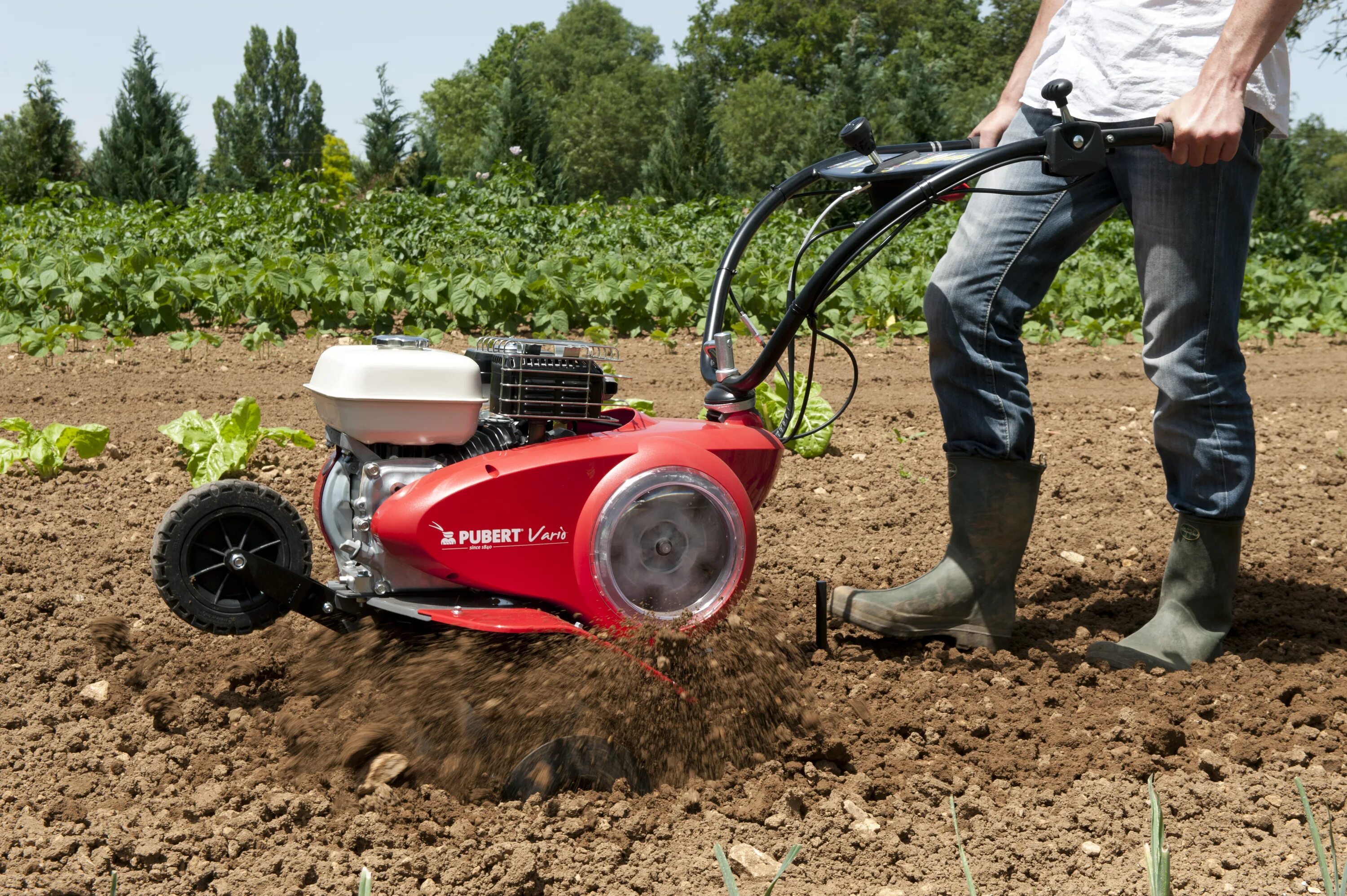Мотоблок для огорода. Культиватор бензиновый викинг. Моноблок для вспашки огорода. Какой мотоблок лучше для вспашки земли. Какой мотоблок лучше для вспашки земли.
