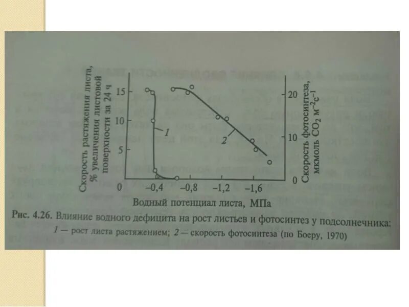 Скорость фотосинтеза. Факторы влияющие на фотосинтез график. Действие водного режима на дыхание. Скорость фотосинтеза зависит. Как изменится интенсивность дыхания и интенсивность фотосинтеза