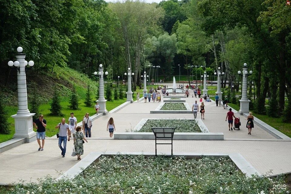 Парк Динамо Воронеж. Город Воронеж парк Динамо. Воронежский Центральный парк культуры и отдыха. Сквер Динамо Воронеж.