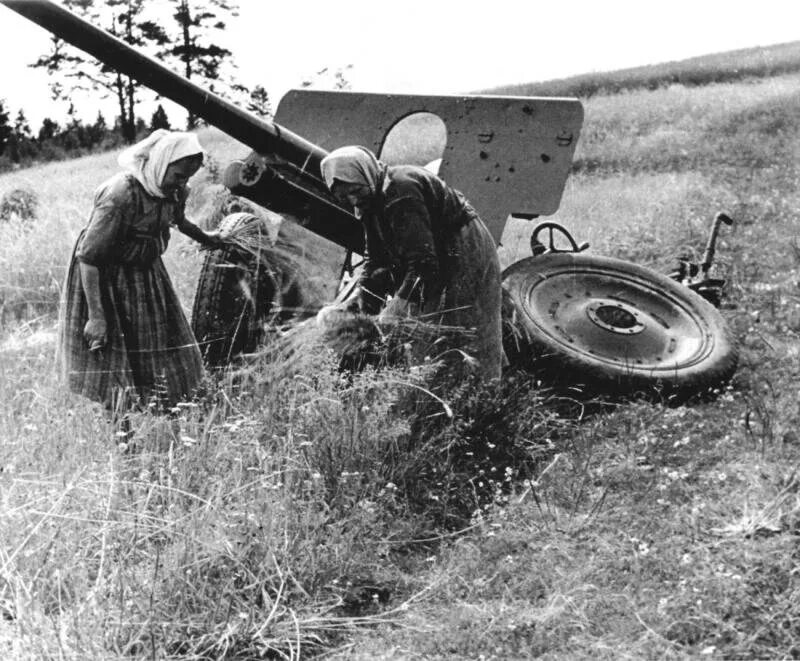 Борисов во время войны. Ф-22 пушка в Вермахте. Ф22 противотанковое орудие. Великая Отечественная поле. Поля в годы войны.