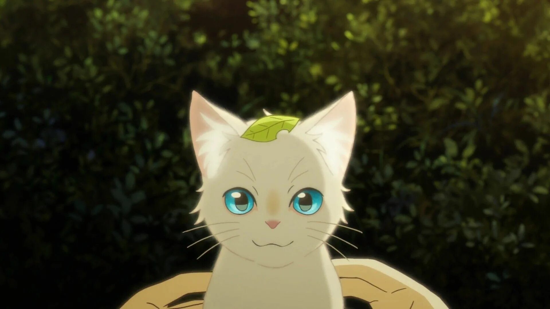 Hideaways прохождение answers. 50k animations hide away. Унесённые призраками 2 спящий дракон. Сквозь слёзы я притворяюсь кошкой. Миё сквозь слёзы я притворяюсь кошкой.