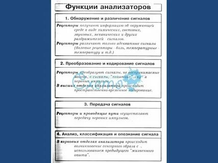 Функции анализаторов