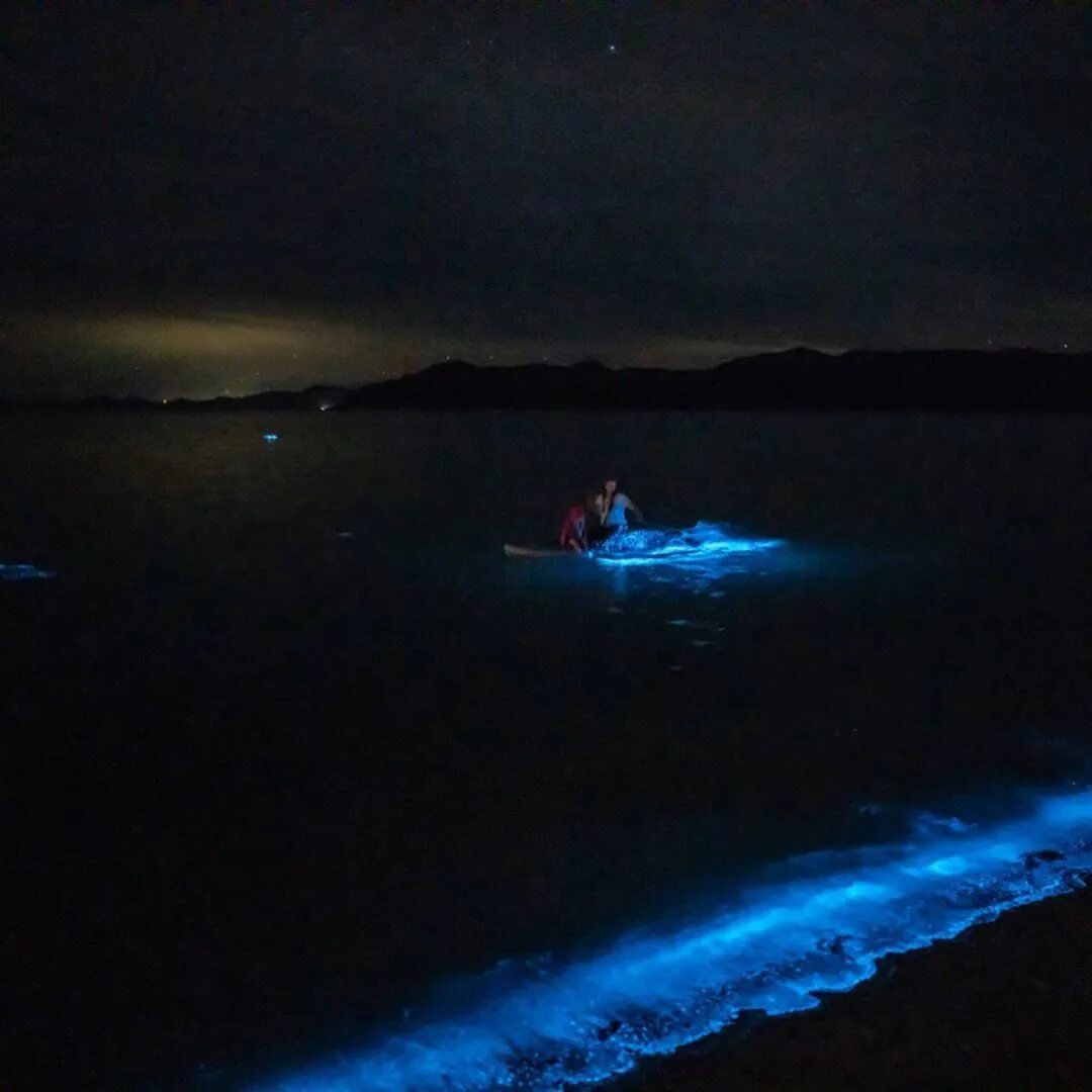 Когда фосфорится море в крыму