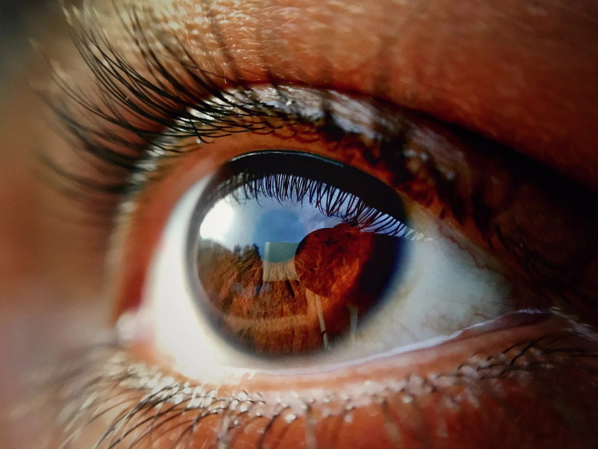 Eyes reason