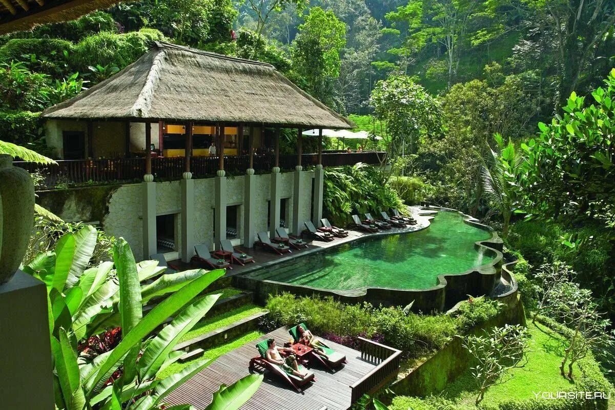 Убуд. Убуд. Центр убуда бали. Убуд. Парк ubud на бали.