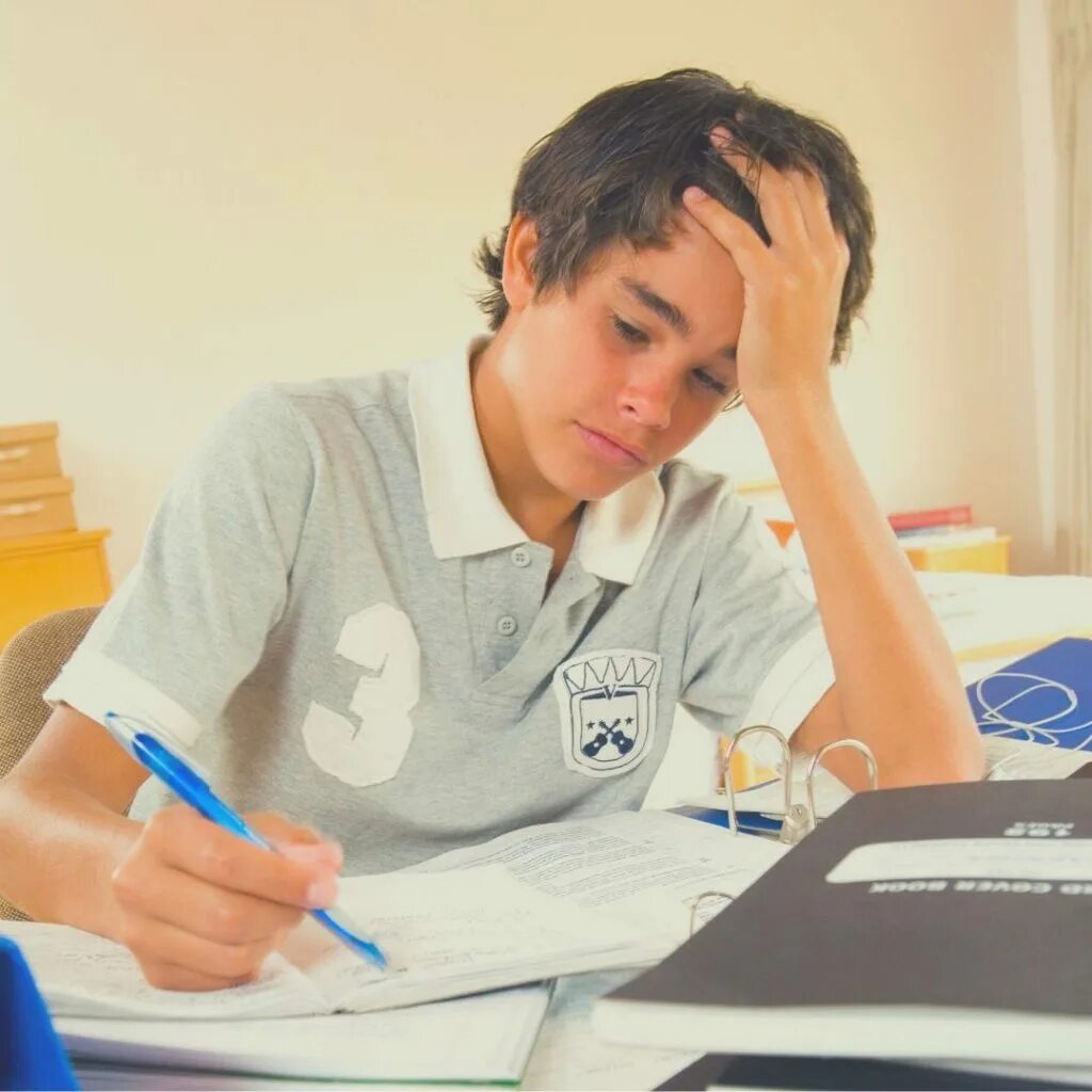 Go homework help