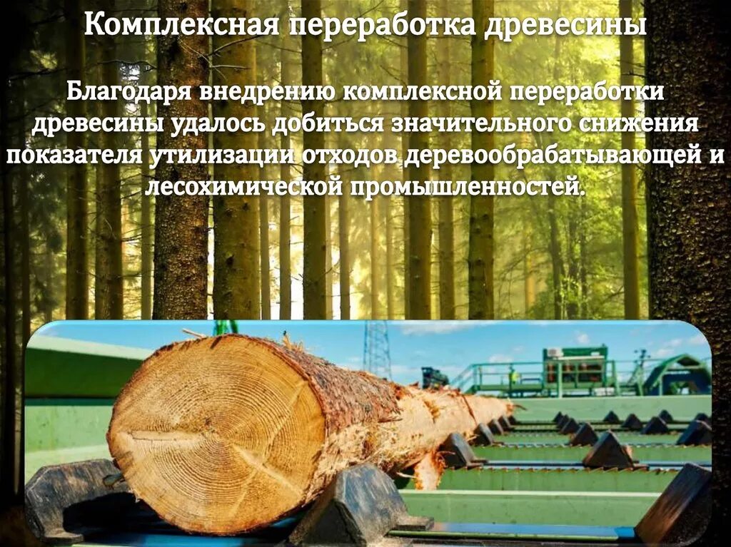 Комплексная переработка сырья примеры. Технологии комплексной переработки. Технология обработки древесины учебное пособие. Технолог по переработке древесины. Комплексная переработка сырья.
