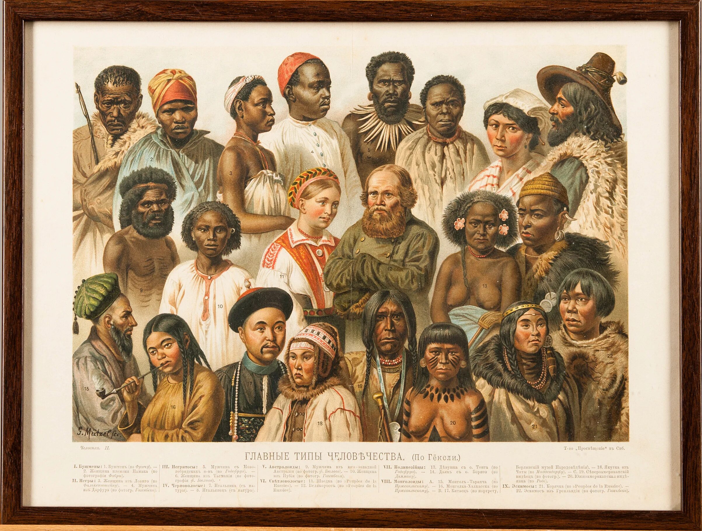 Этнос. Расы этносы нации. Расы этносы нации. Разные народы. Разные народы.