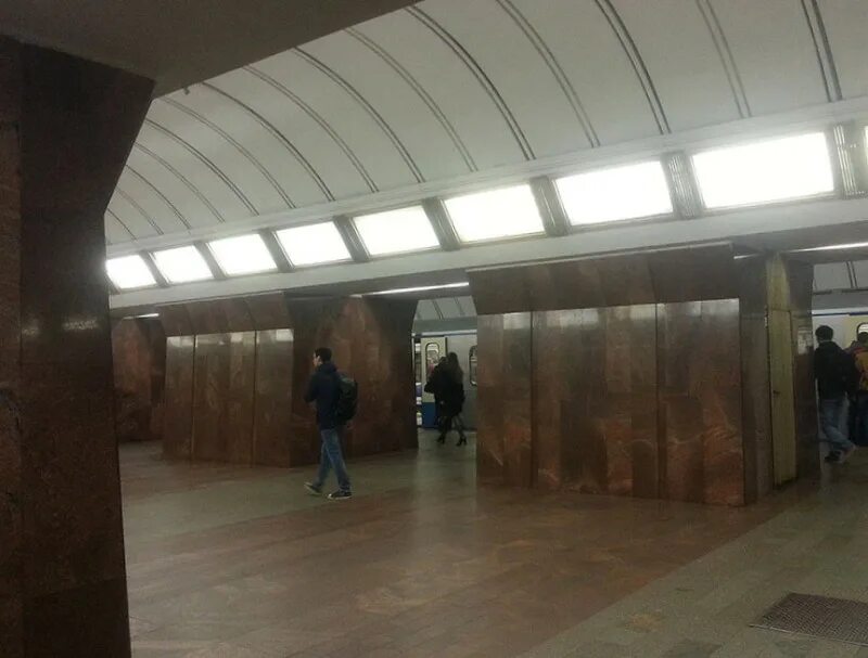 Дмитровка станция метро. Станция дмитровская. метро дмитровская фото. гусь метро дмитровская.