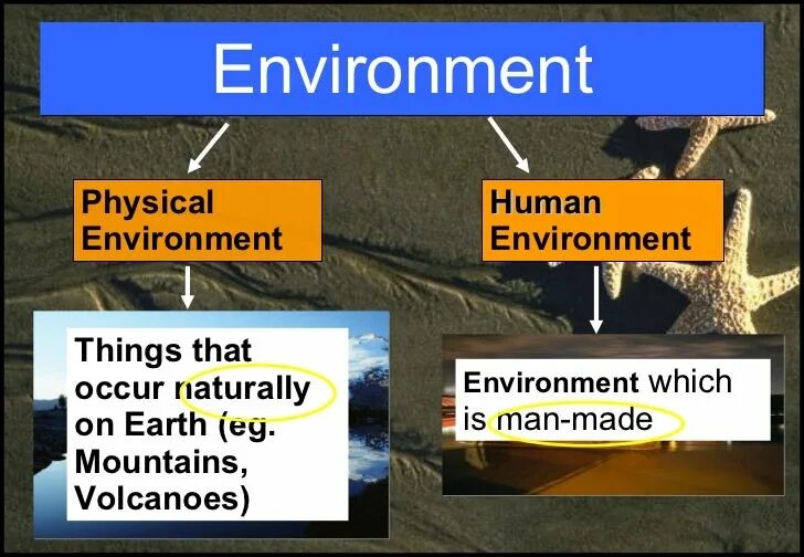 Physical environment. Environmental Factors. Humans and the environment. Environmental Humanities.