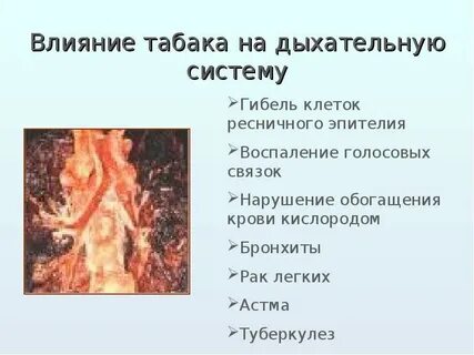 Влияние никотина на клетки живого организма