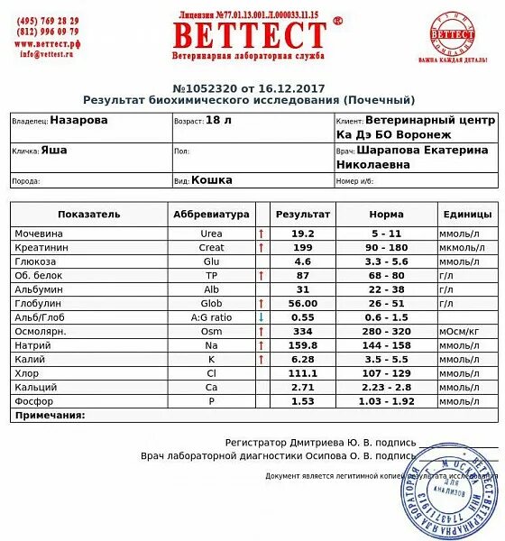 Алт норма у кошек. ВЕТТЕСТ. ВЕТТЕСТ лаборатория. ВЕТТЕСТ СПБ.