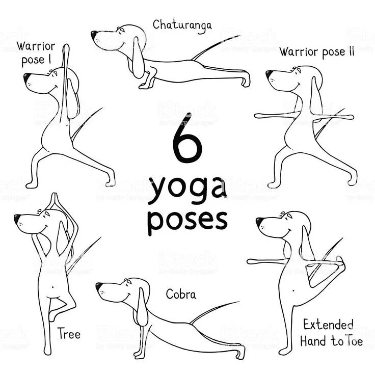 Dog positions