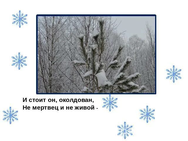 Литературное чтение 2 класс тютчев чародейкою зимою. Рисунок к стихотворению тютчева чародейкою зимою 2 класс. олицетворение 2 класс тютчев чародейкою зимою. тютчев ни мертвец и не живой. чародейка зимой тютчев рисунок-схема.
