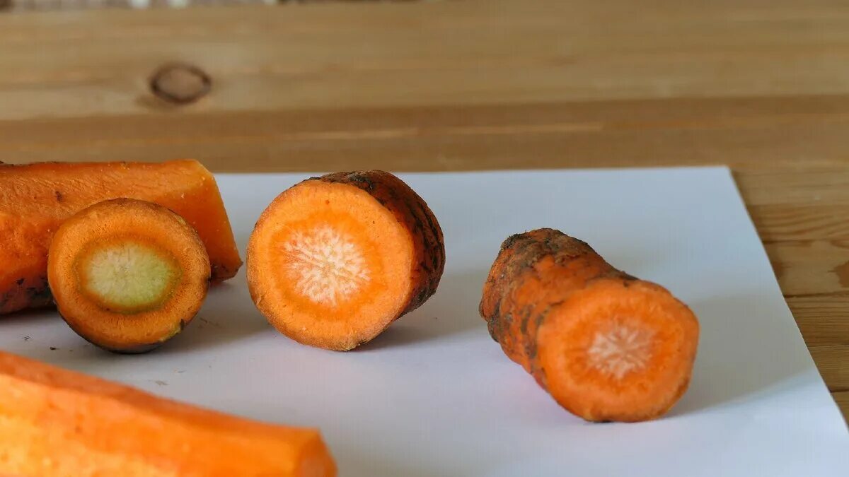 Заболевания плодов моркови. Морковный сок при запоре. Доклад о морковке. Распространение моркови. Питательные вещества в моркови.