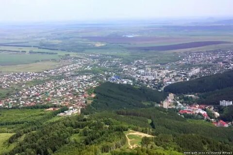 Белокуриха смоленское