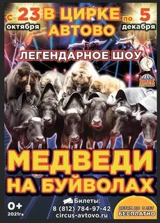 Цирк в автово афиша