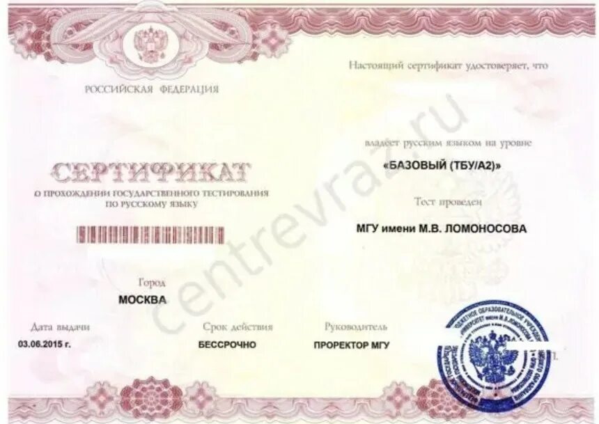 Экзамен на рвп. Сдать русский язык на рвп. Экзамен на рвп 2022. Экзамен на рвп. Сдать русский язык на рвп.