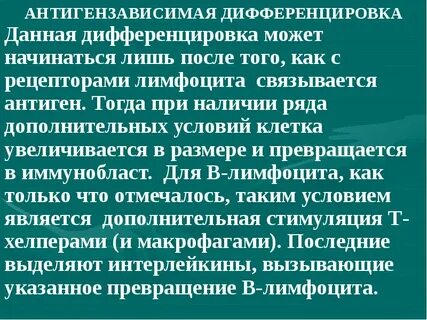 Антигензависимая дифференцировка лимфоцитов