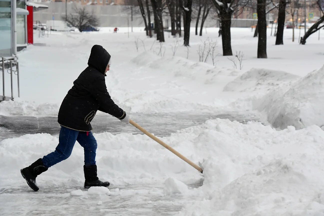 Уборка снега лопатой москва. Лопата для снега. Лопата для уборки снега gardena 03243-20. Уборка снега лопатой москва. Лопата для чистки снега gardena.