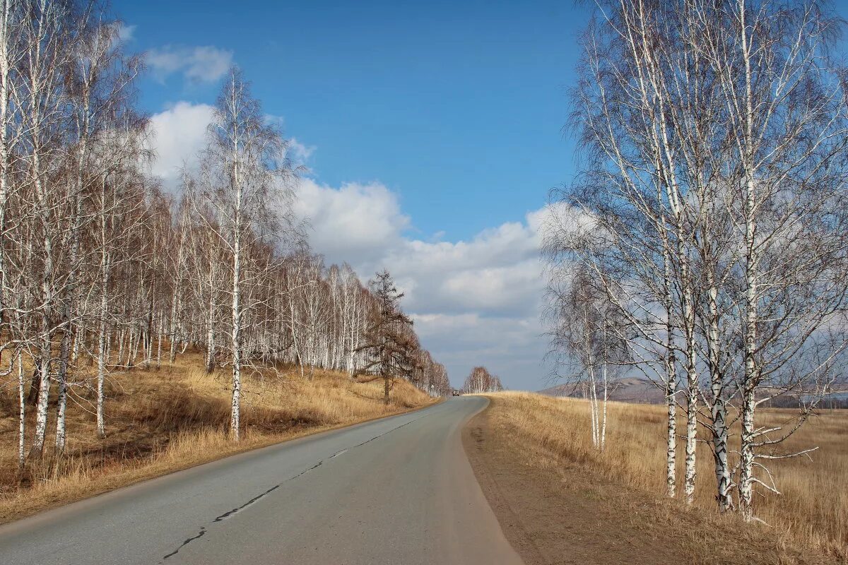 Апрель дорога. Весне дорогу!. дороги весной. дорога ранней весной.