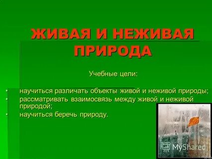 В чем проявляется взаимосвязь растений неживой природы