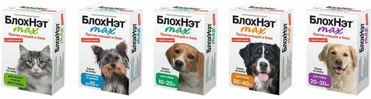 Блох нет. Блохнэт max капли п/блох и клещей д/кошек и котят 1 мл. капли от блох и клещей блохнэт д/собак 10-20кг (5пип). блохнэт макс капли для собак 30-40 кг. блохнэт капли для собак 10-20 кг, 2 мл.