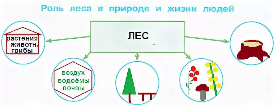 составление схем. блок схемы с алгоритмами по информатике. составить схему na. составление алгоритма. составление географических схем.