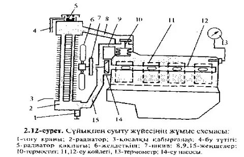 Қазантиптегі қыздар