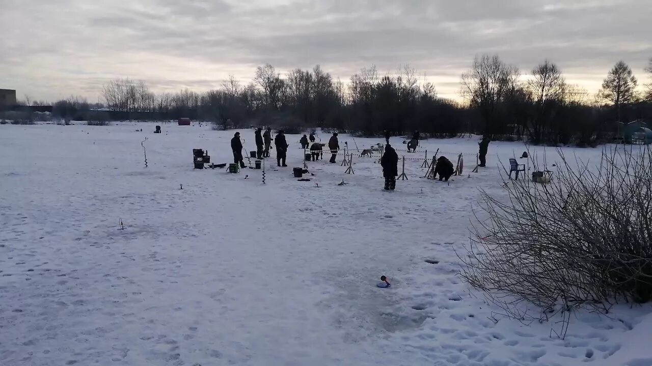 Квадрат на ленинградке платная рыбалка форум. Рыбалка ленинградка. Рыбалка квадрат на Ленинградке. Пруд квадрат на Ленинградке. Платная на Ленинградке рыбалка.