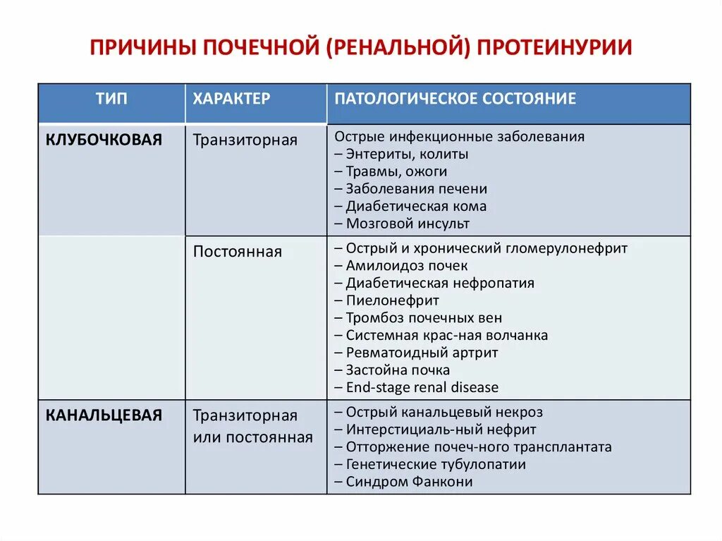 Причины ренальной протеинурии. Семиотика заболеваний почек. Патологическая почечная протеинурия. Заболевание почек протеинурия. Причины почечных заболеваний