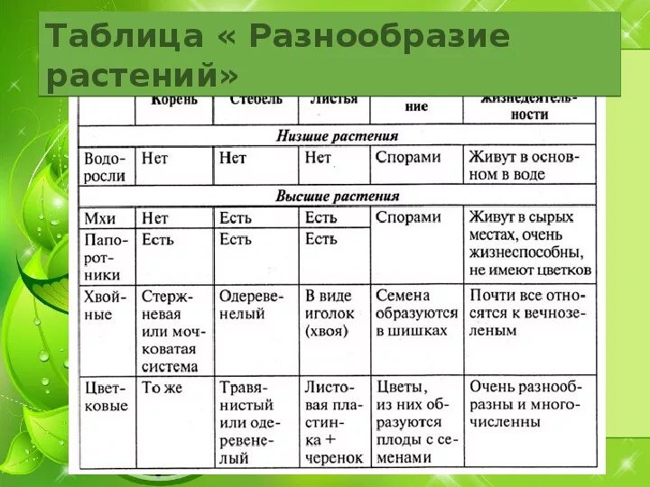 Таблица разнообразие растений. Разнообразие растений таблица 3 класс. Разнообразие растений 3 класс. Таблица разнообразные растения. Класс хвойные таблица