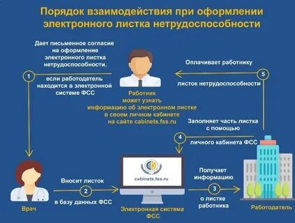 Эдо омс
