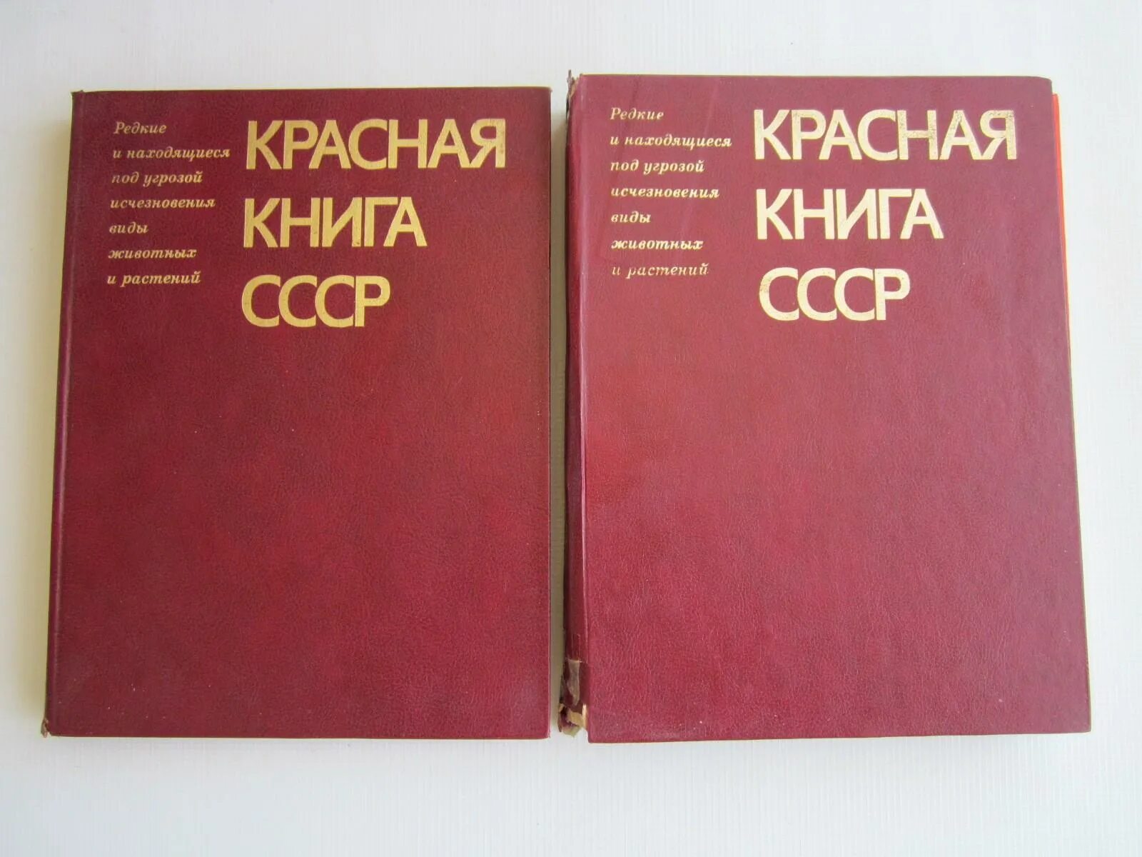 Советская книга красный. Красная книга СССР 1978. Красная книга СССР 1984. Первая красная книга СССР 1978. Красная книга СССР 1 И 2 том.