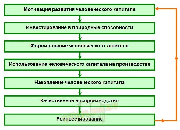 Человеческий капитал современная экономика