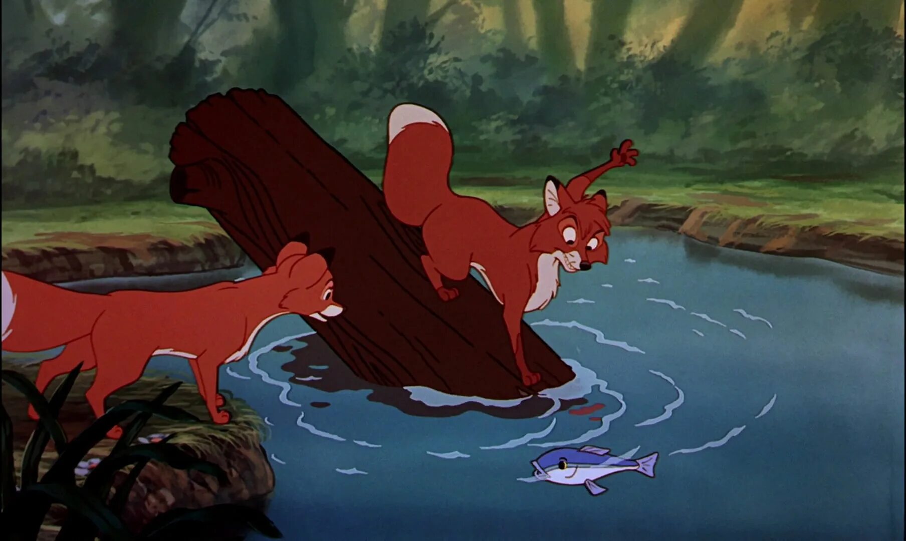 Лиса и охотничий пес. Лис и пёс тод. лис и пёс (the fox and the hound), сша, 1981. дисней лис тод. лис и охотничий пес 1981.