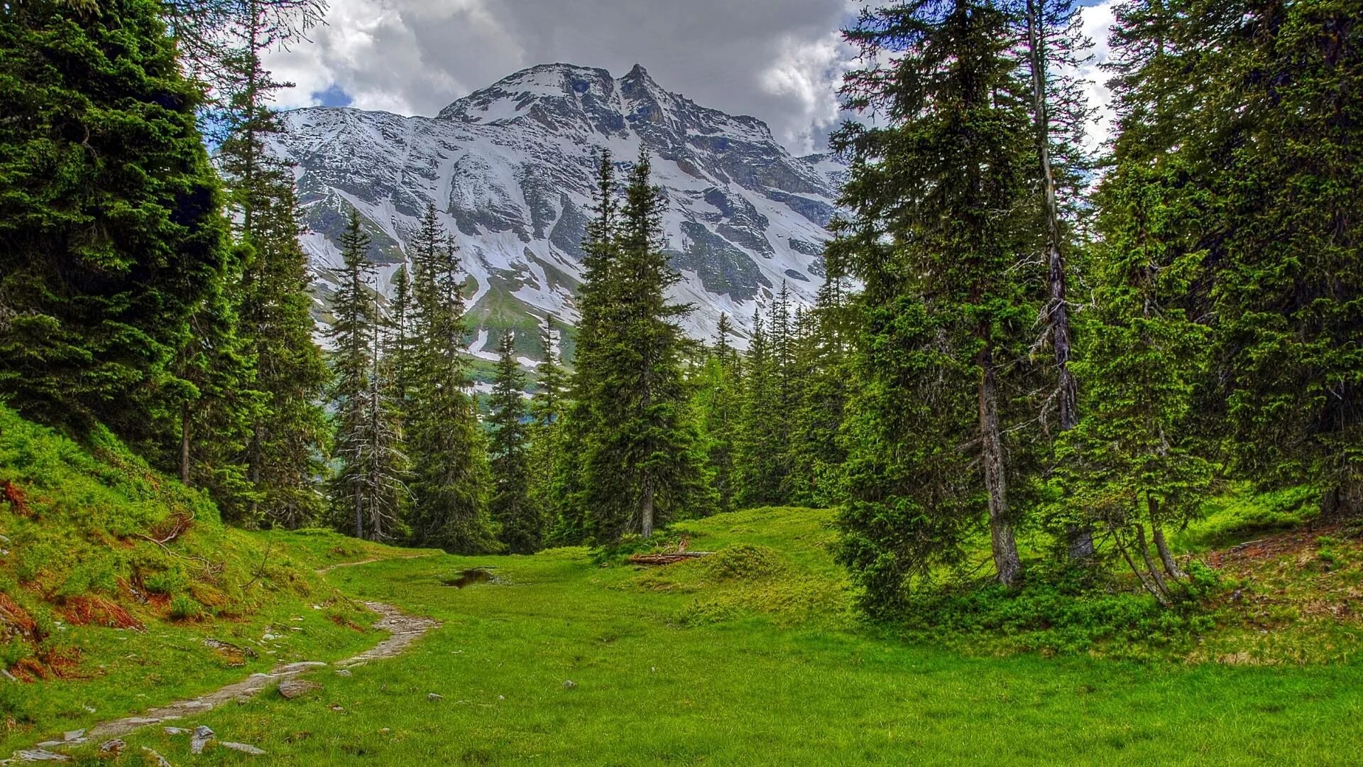 Швейцария альпы пейзаж. Природа швейцарии альпы. Швейцария горы альпы. Доломитовые альпы италия лето. Альпийские луга швейцария альпийские луга швейцария.