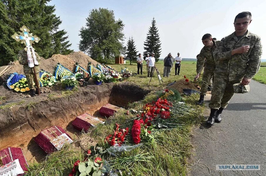 Братские могилы украины. Братская могила дорогобуж. Братские могилы солдат вов. Братские могилы украины. Братские могилы украины.