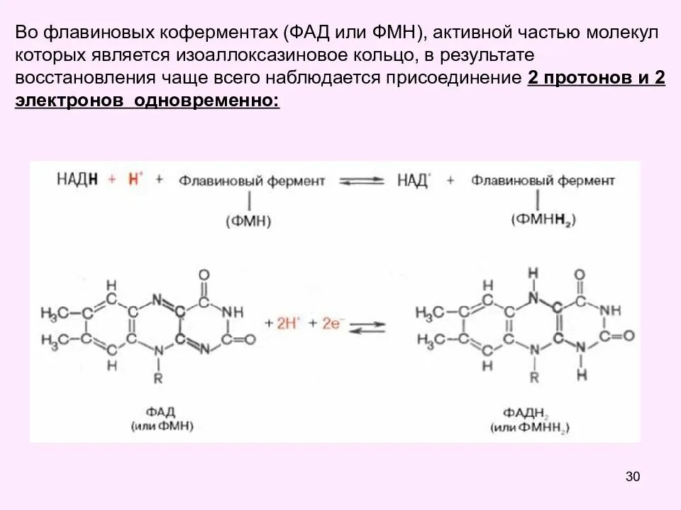 ФАД кофермент какого фермента. Активная форма кофермента ФАД. ФАД И фадн2 формулы. Структура ФАД биохимия.