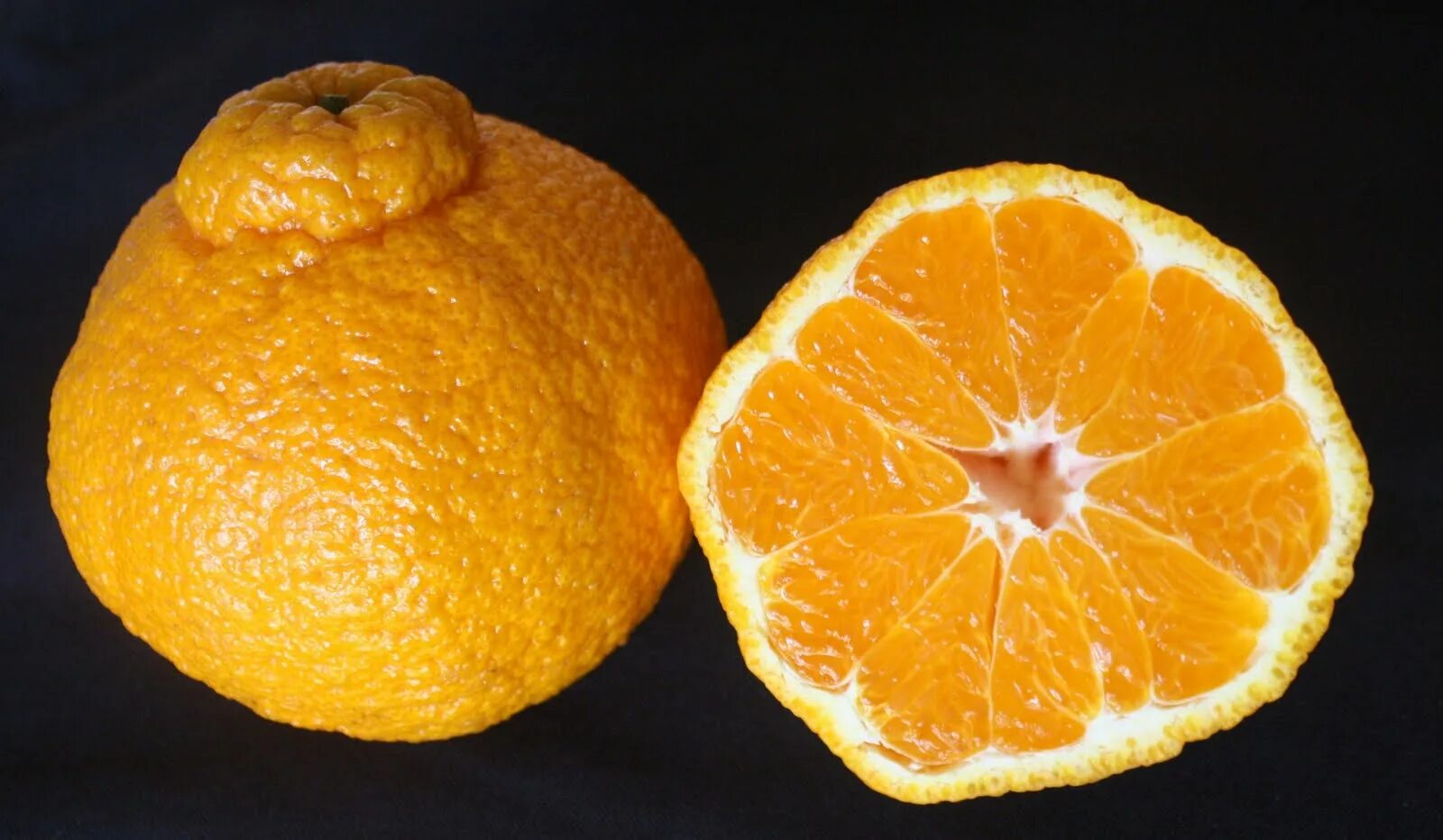 Танжерин гибриды цитрусовых. Рангпур (фрукт). Как называется мандарин скрещенный с апельсином. Танжело минеола мандарин. Как называется мандарин скрещенный с апельсином.