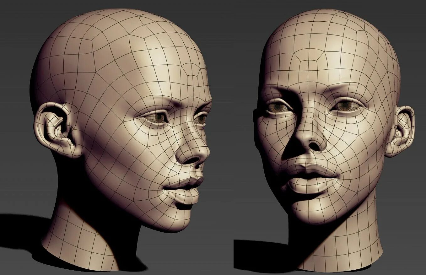 Ретопология референс. Топология лица. Моделирование лица. Голова человека для моделирования.