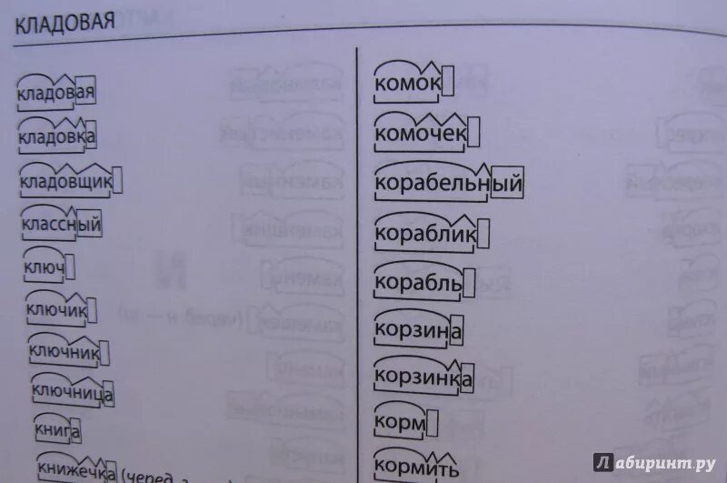 Разбор слова кормила