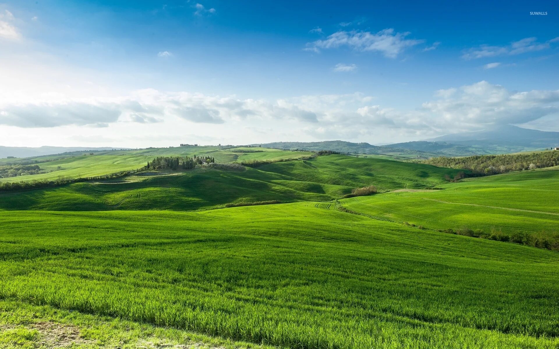 Field range